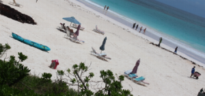 Ready to Relax and Chill on the Beach.