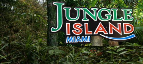 Download this Jungle Island Miami picture